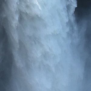 Meet your Posher, Brenda